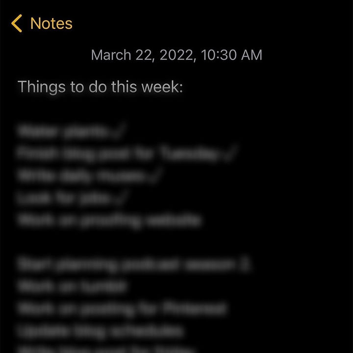 Screenshot of weekly to-do list with checkmarks